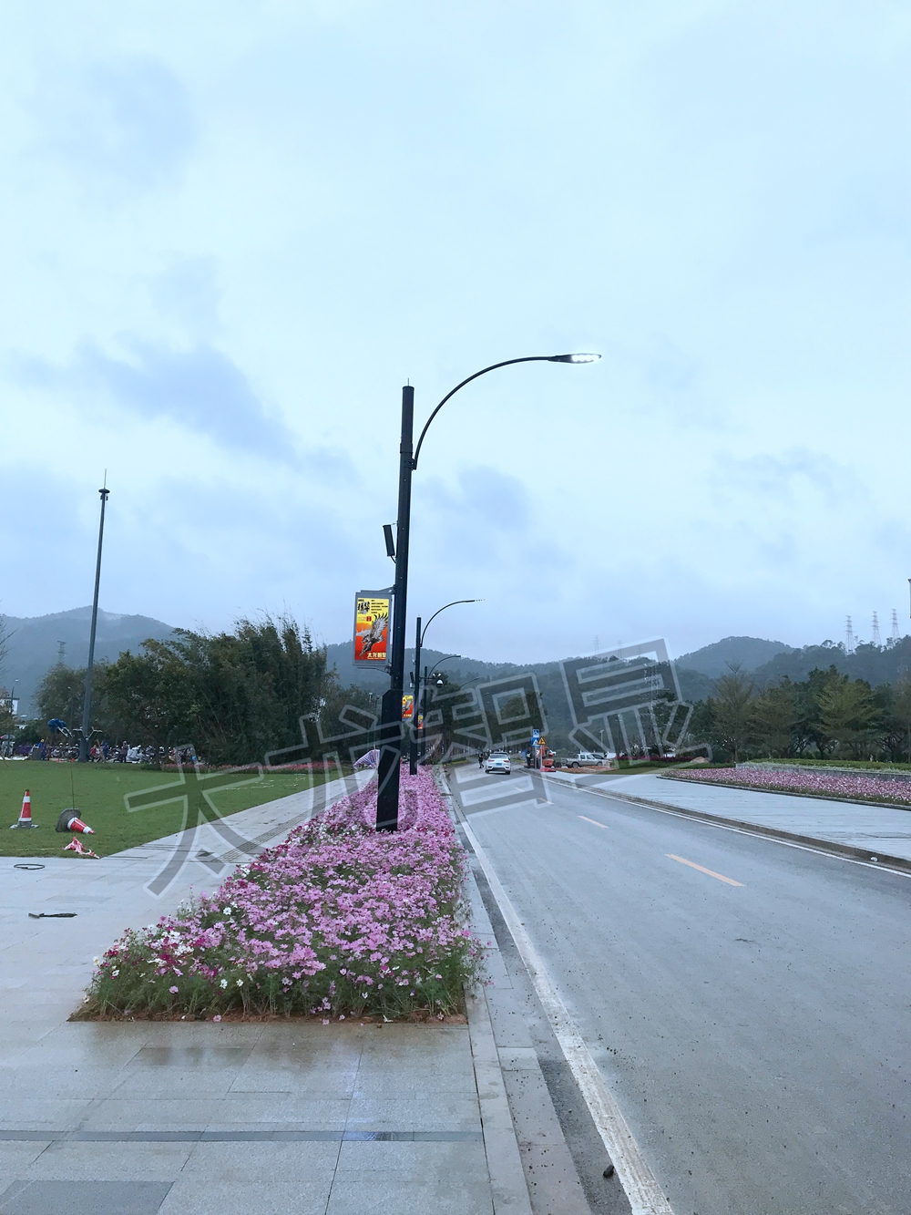 太龙智显广州从化世界生态设计小镇LED灯杆屏 (20)_副本.jpg