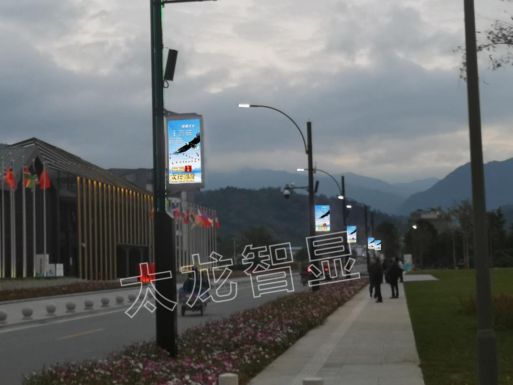 太龙智显广州从化世界生态设计小镇LED灯杆屏 (2).jpg