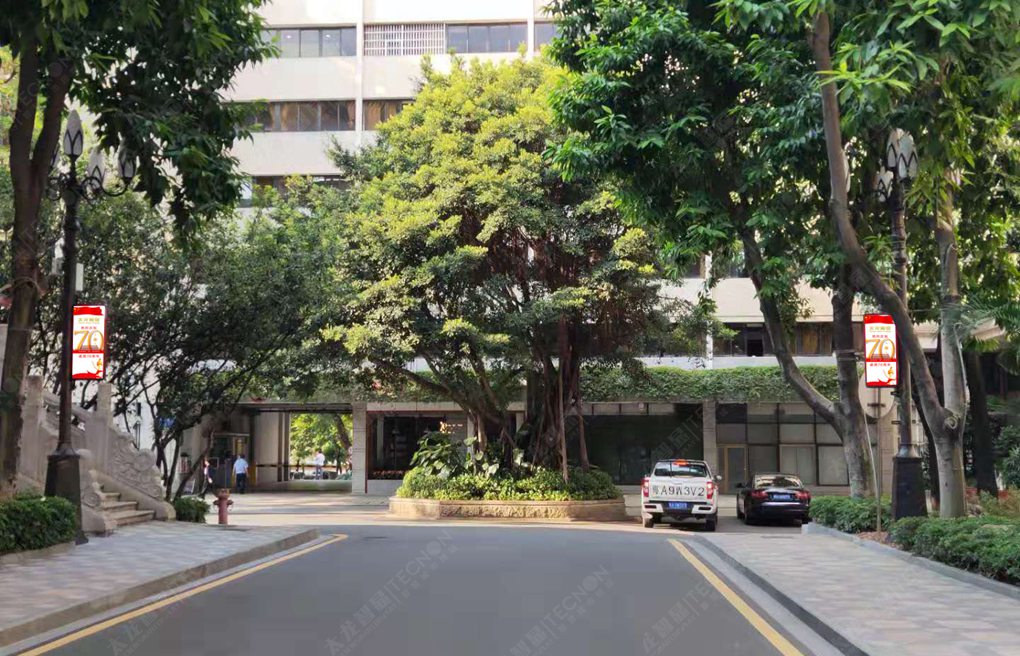 太龙智显LED灯杆屏市政府.jpg