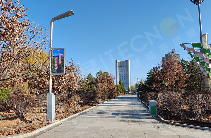 LED Pole Screens