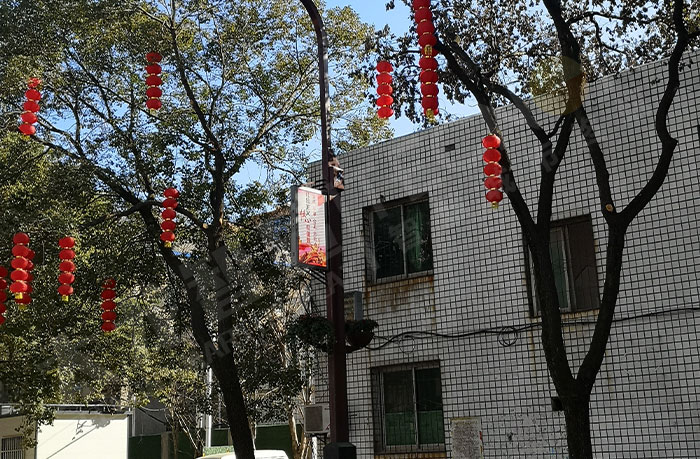 江西南昌LED灯杆屏.jpg