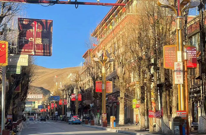 理塘路边一批点亮的LED灯杆屏.jpg