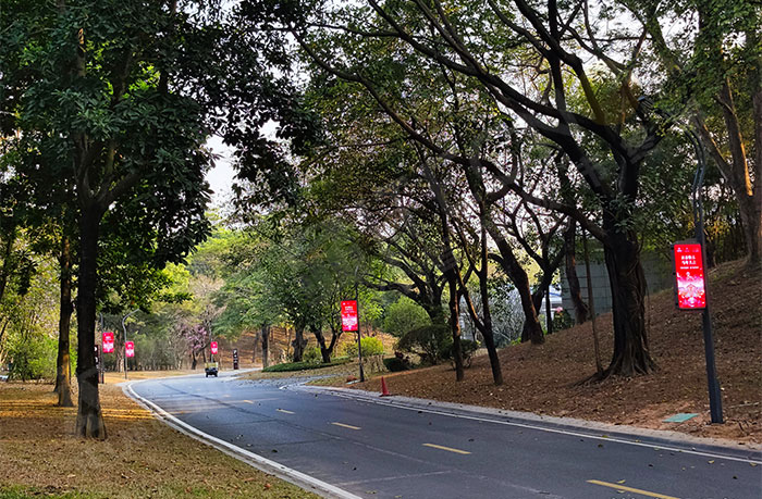 东莞道路升级P3.125灯杆屏案例.jpg