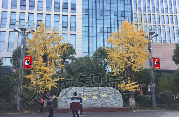 长沙LED灯杆屏与智慧路灯安装现场.jpg 长沙LED灯杆屏与智慧路灯安装现场.jpg